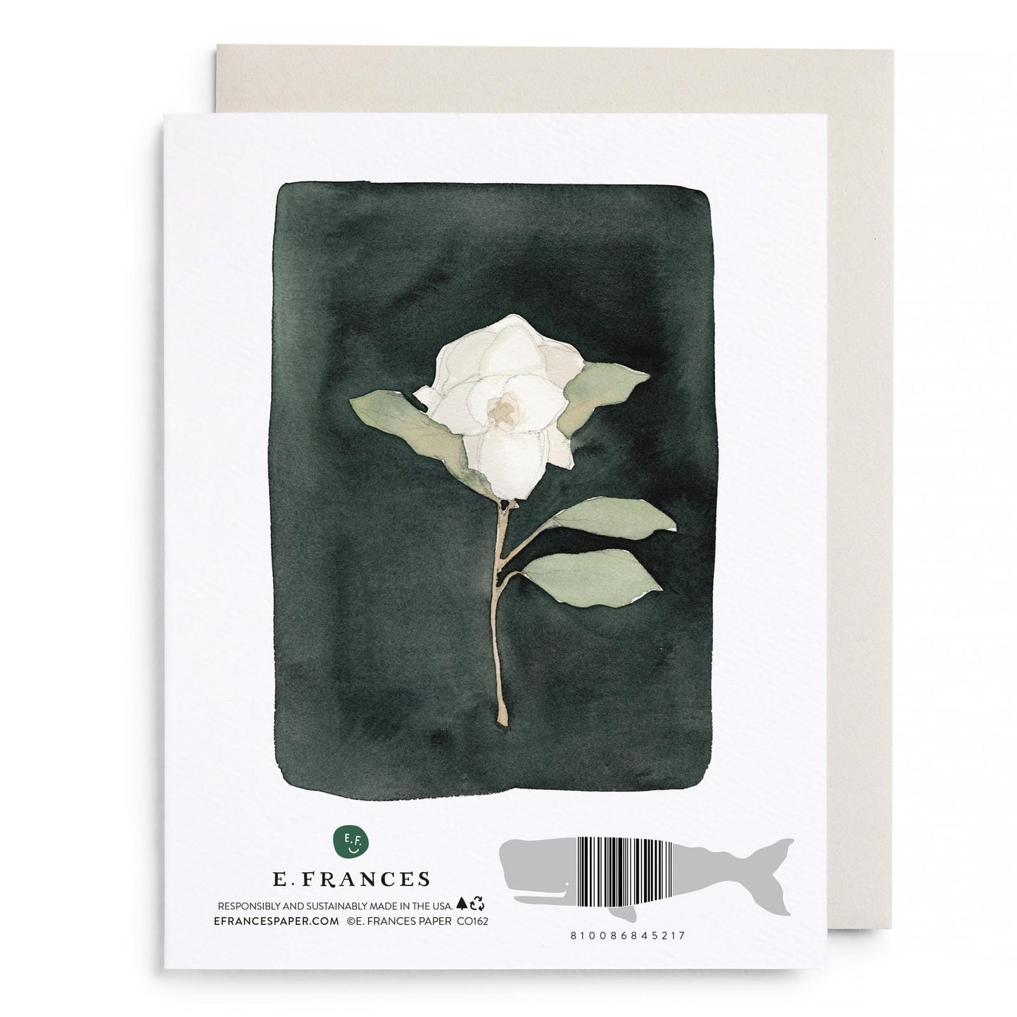 White Flower Greeting Card