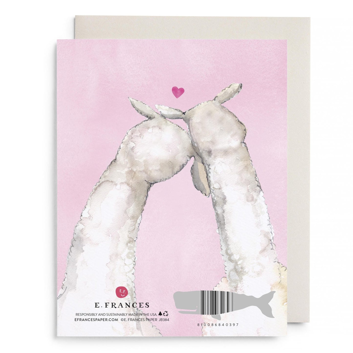 Llama Love Greeting Card