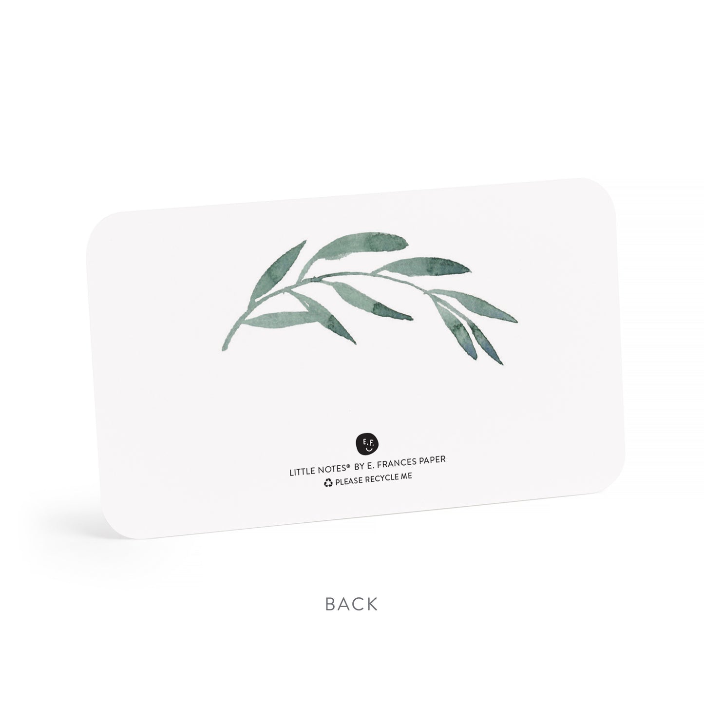 Olive Branches Little Notes®