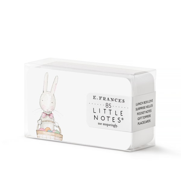 easter bunny rabbit easter basket little notes cards for use as place cards, placecards, small notes, lunchbox lunch box notes, gift topper tags