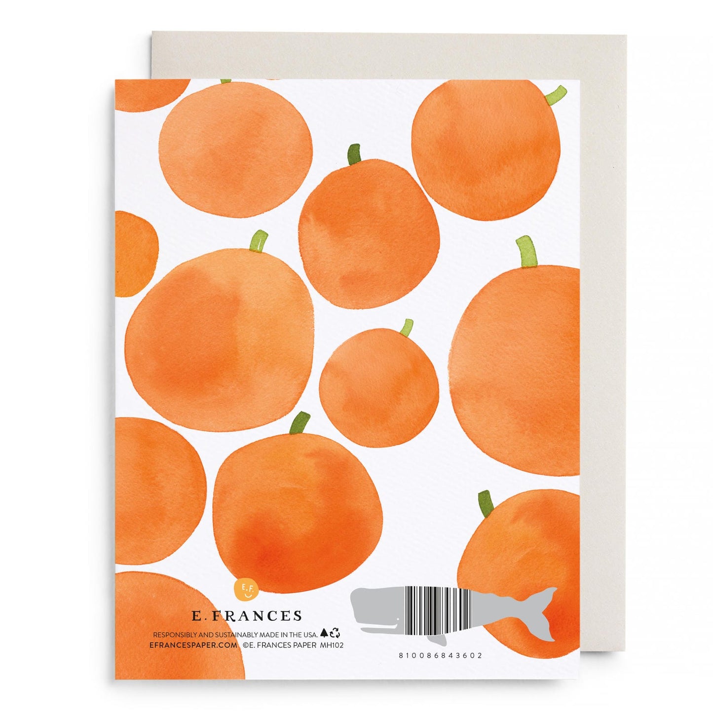 Pumpkin Witch Greeting Card