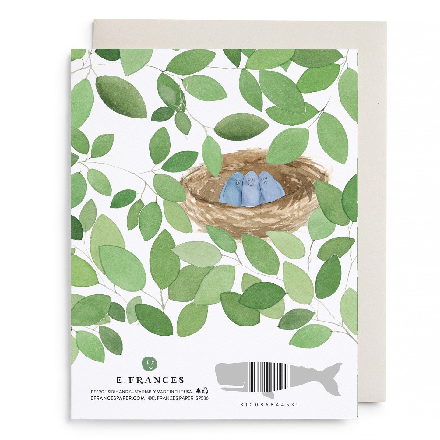 I Would Fly To You Greeting Card