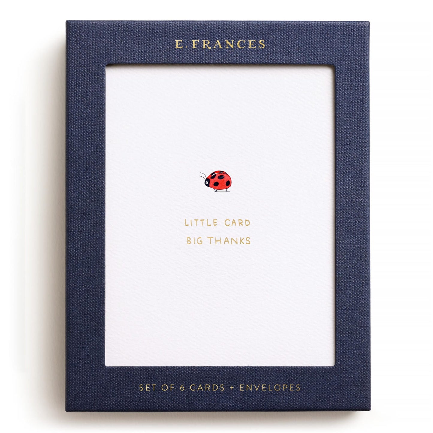 Little Card Big Thanks Greeting Card