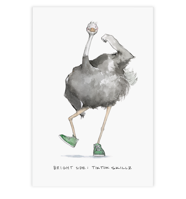 ostrich postcard tik tok skillz