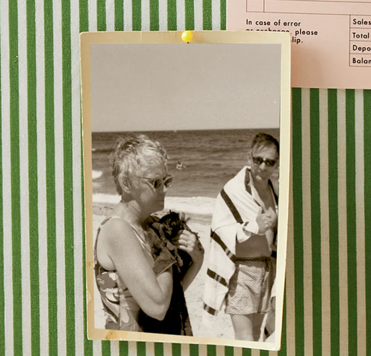 Orange Grove: The Story Behind the Photo