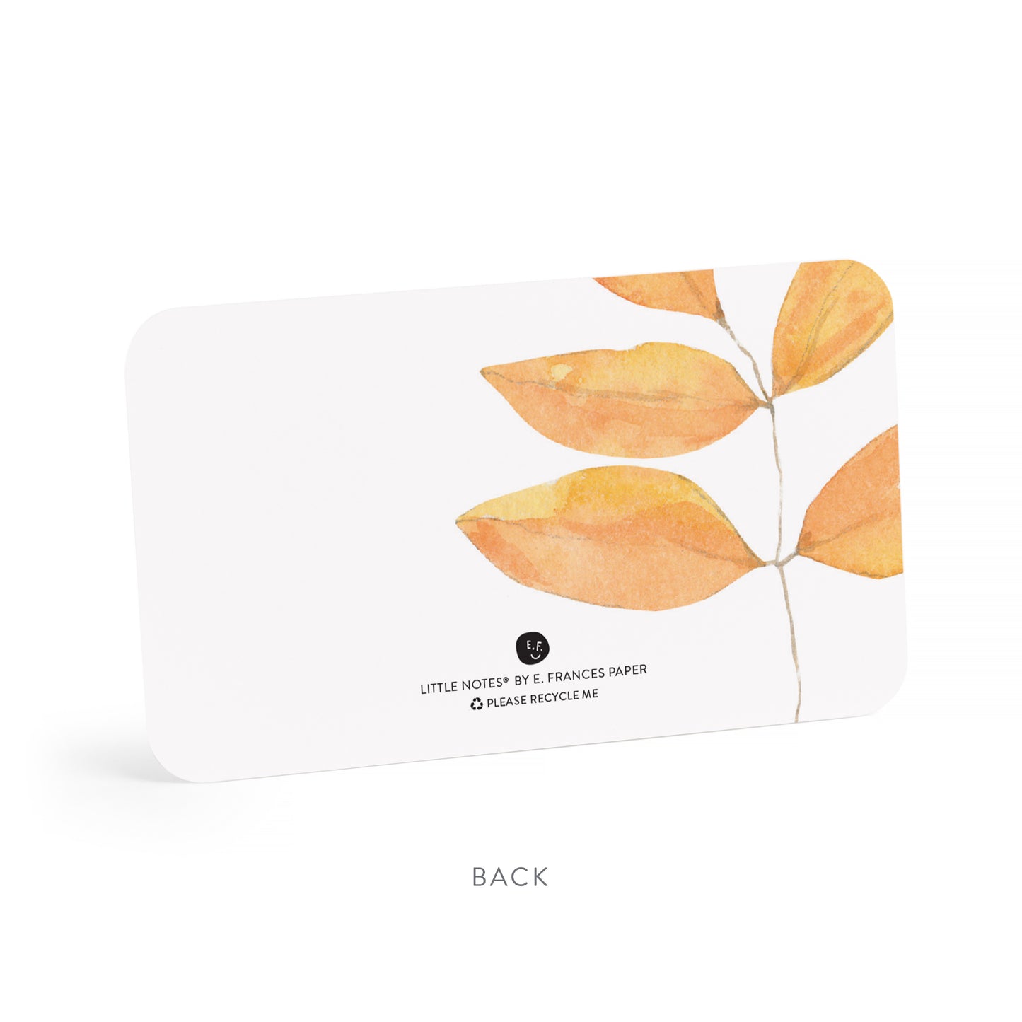 Fall Leaves Little Notes®