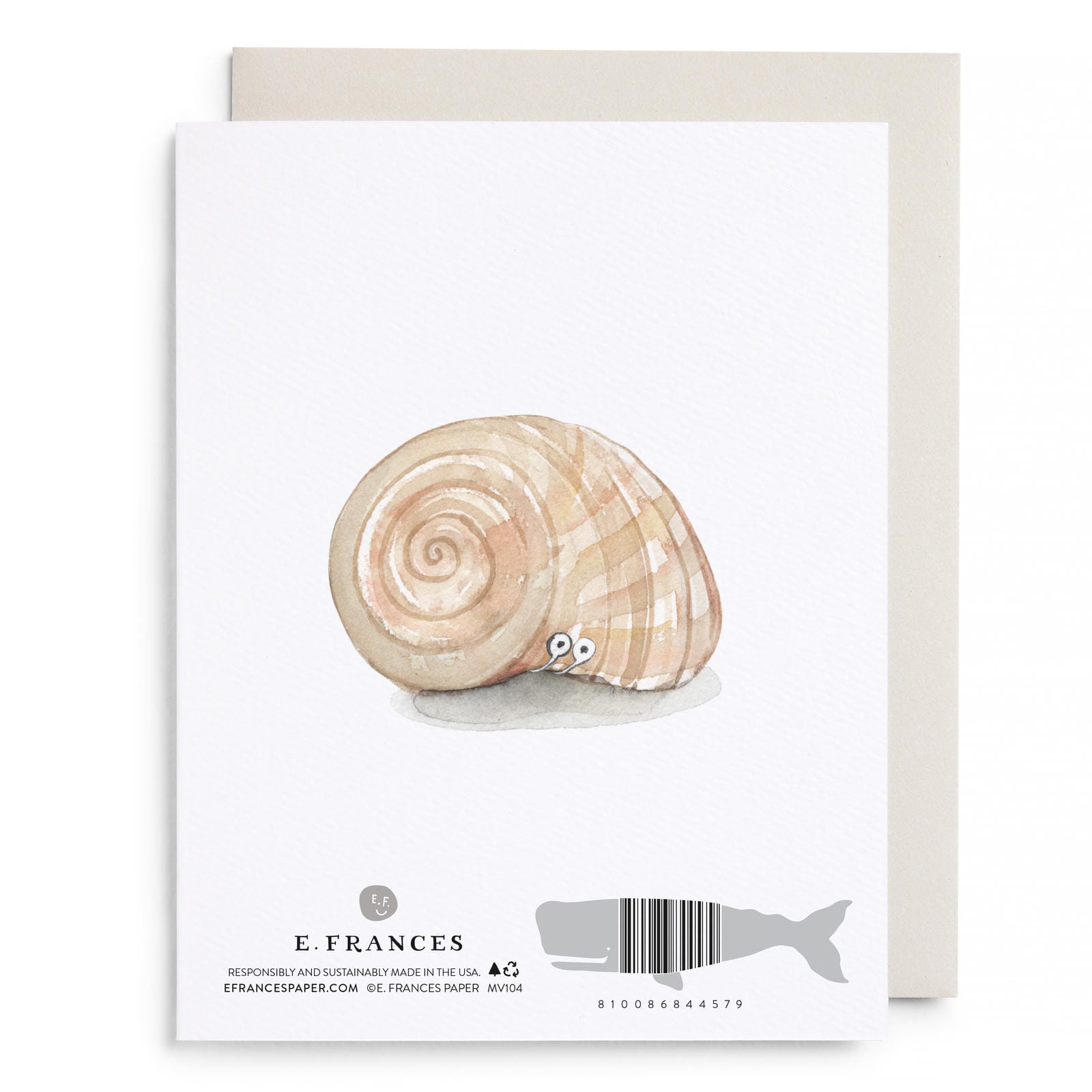 New Shell Greeting Card – E. Frances Paper