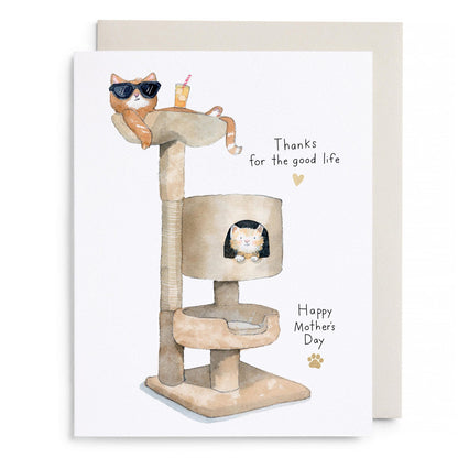 Cat Condo Mom Greeting Card
