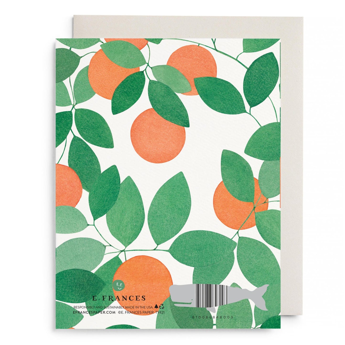 Orange Grove Thank You