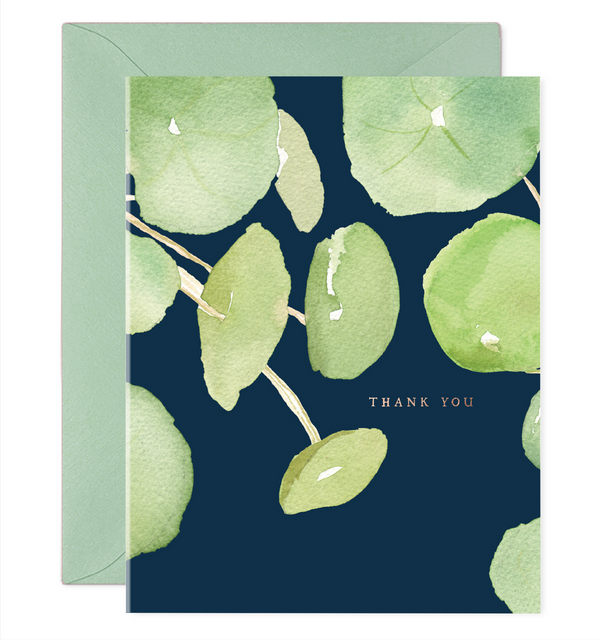 pancake plant thank you notes pilea cards boxed thank you notes stationery stationary navy blue green pretty