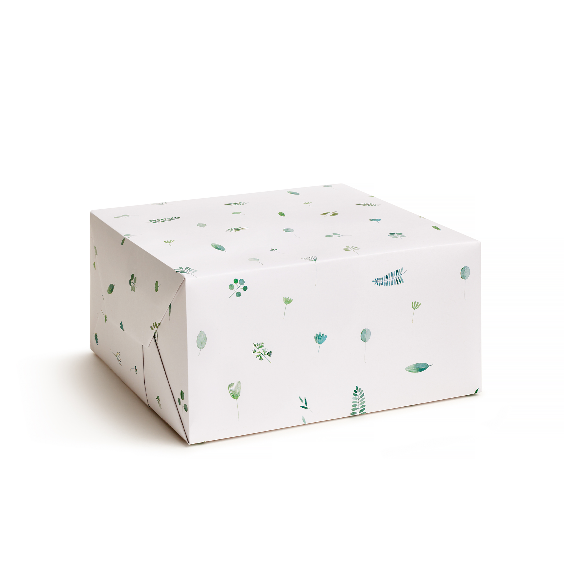 botanical garden leaves wrapping paper gift wrap giftwrap white green
